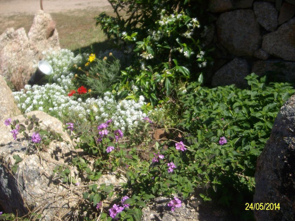 Agriturismo Spridda Bed & Breakfast Arzachena Exterior photo